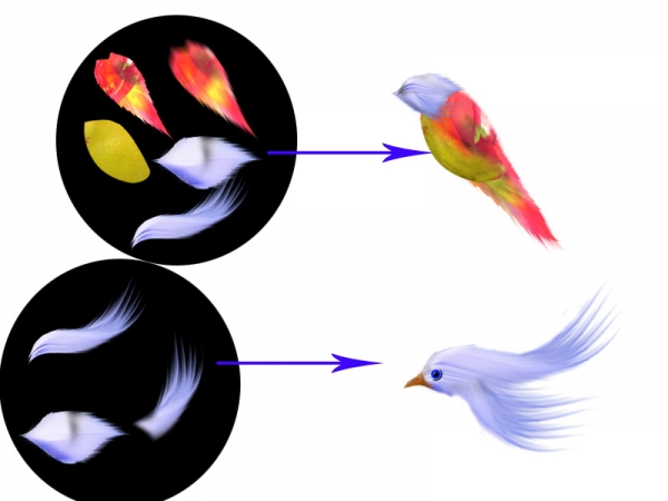 Creation of birdie: Step 3